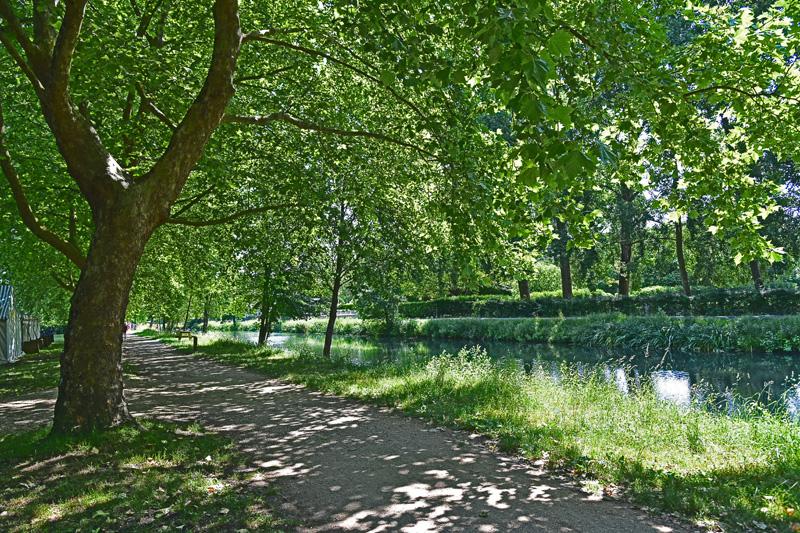 min 2025 06 08 Marais Poitevin 175